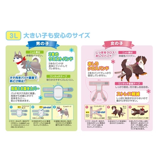 女の子用マナーホルダーActive 3L