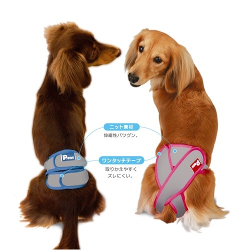 女の子用マナーホルダーActive 3L