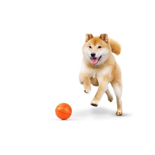 LIKER 愛犬を虜にする魔法のボール(