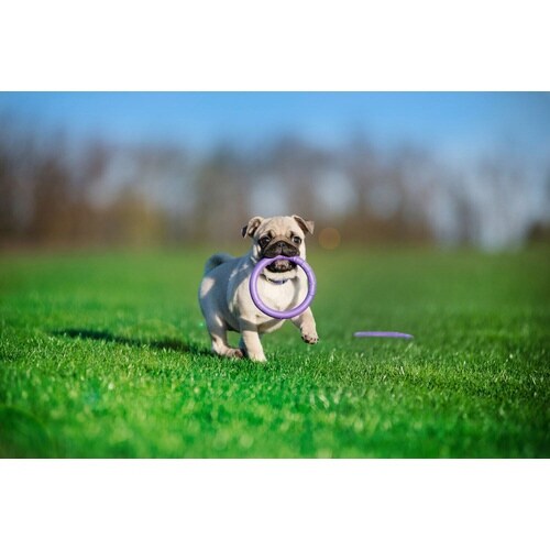 PULLER MICRO(極小)DVD無