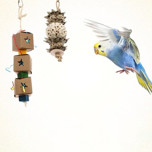 ループ バディ ソラボールサンド