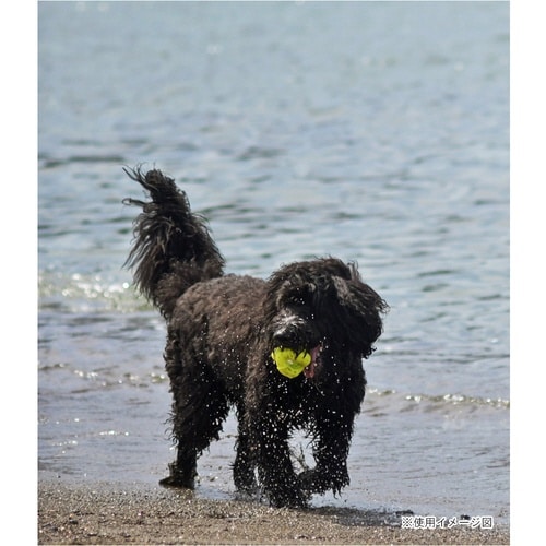 ループ ハウンズ クロスボール イエロー