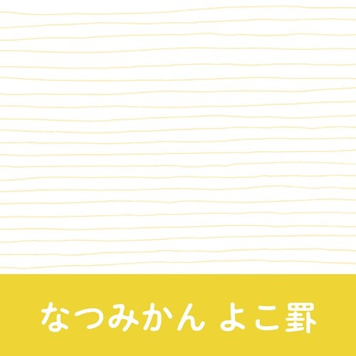 いいかげんノートA5 なつみかん よこ罫×10