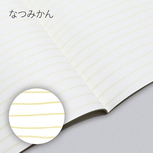 いいかげんノートA5 なつみかん よこ罫×10