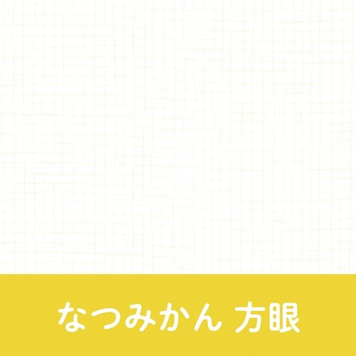 いいかげんノート A5 なつみかん 方眼×10