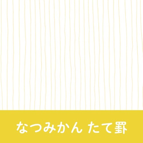 いいかげんリフィルm5なつみかん たて眼×10