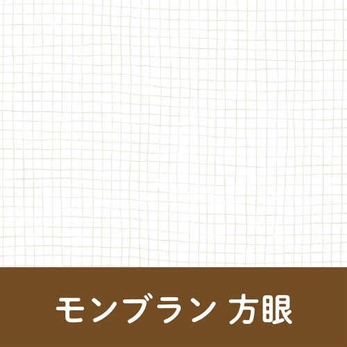 いいかげんノート A5 モンブラン 方眼×10