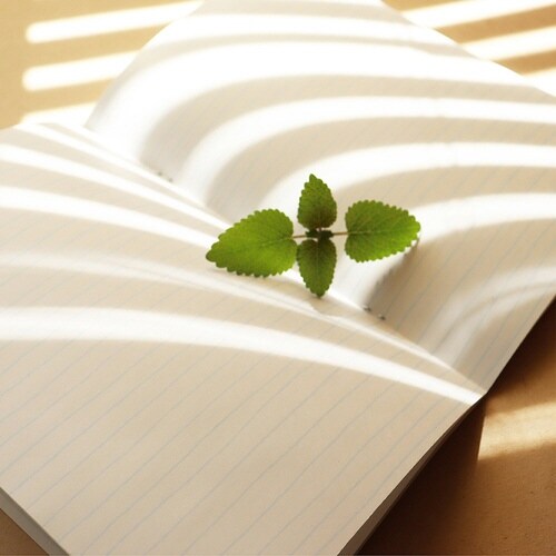 いいかげんノート A5 ふじさん よこ罫×10