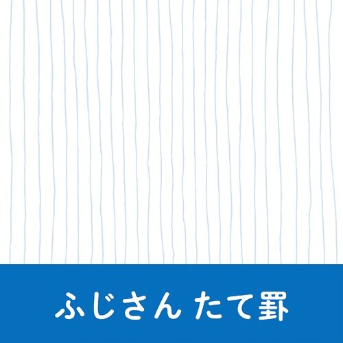 いいかげんリフィルm5ふじさんたて眼×10