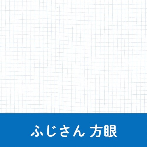 いいかげんリフィルバイブルふじさん 方眼×10