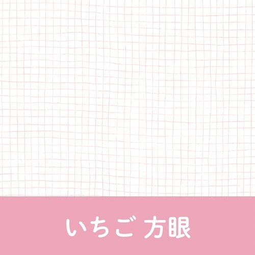 いいかげんノート A5 いちご 方眼×10