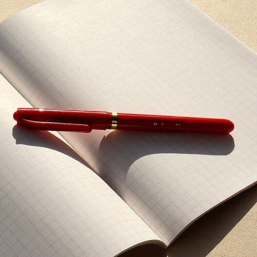 いいかげんノート A5 いちご 方眼×10