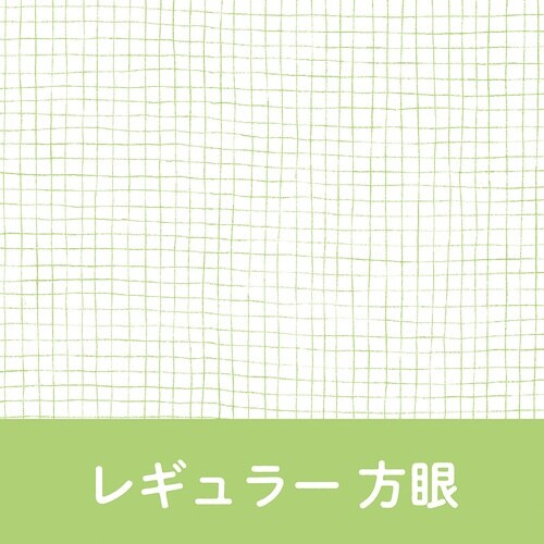 いいかげんリフィルM6レギュラー 方眼×10