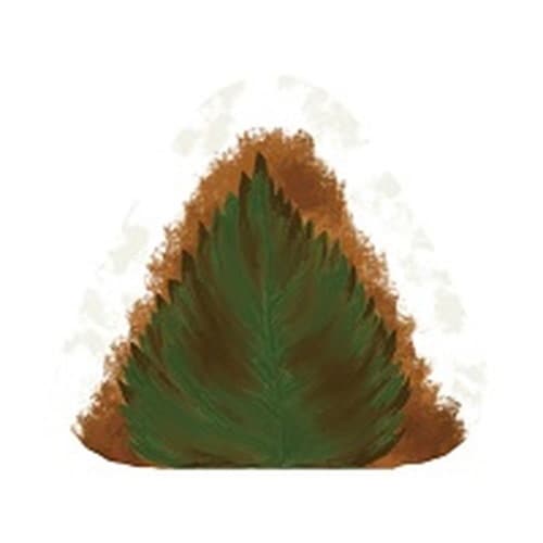 ふみむすび 竹皮 大葉みそ×12