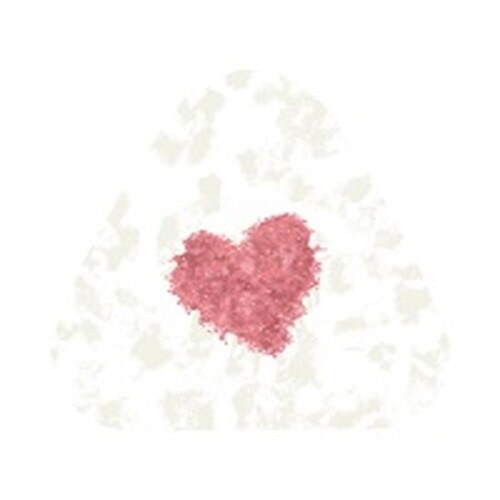 ふみむすび 竹皮 おかお×12