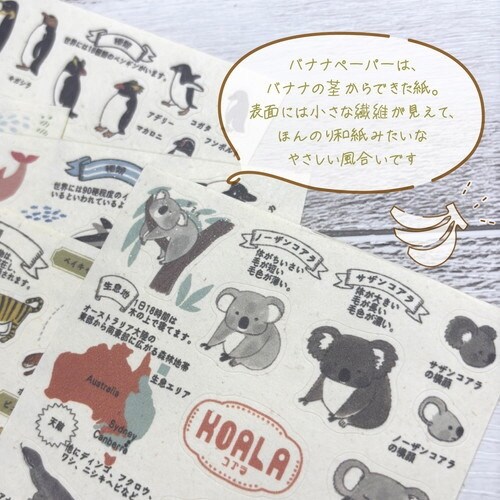 フレークシール動物園のアイドル図鑑パンダ×10