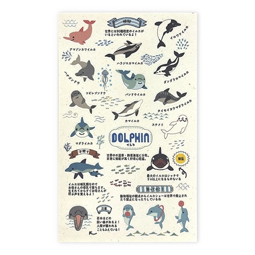 フレークシール動物園のアイドル図鑑イルカ×10