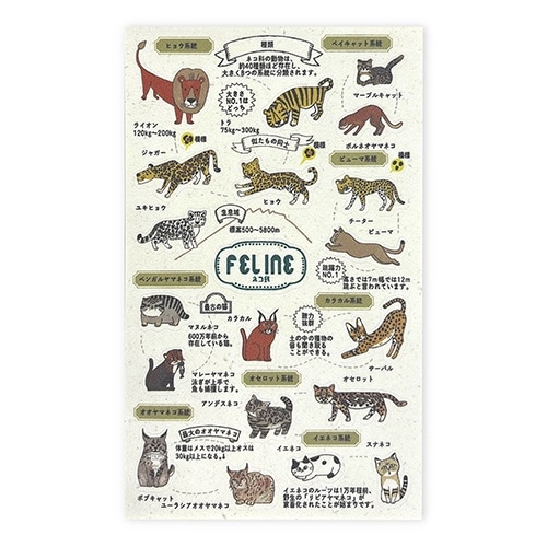 フレークシール動物園のアイドル図鑑ネコ科×10