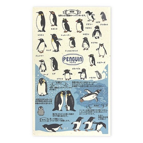 シール動物園のアイドル図鑑ペンギン×10