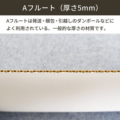 板ダンボール 片面白180×90cm5mm100枚