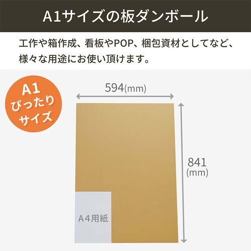 板ダンボール A1 841×594mm10枚セット