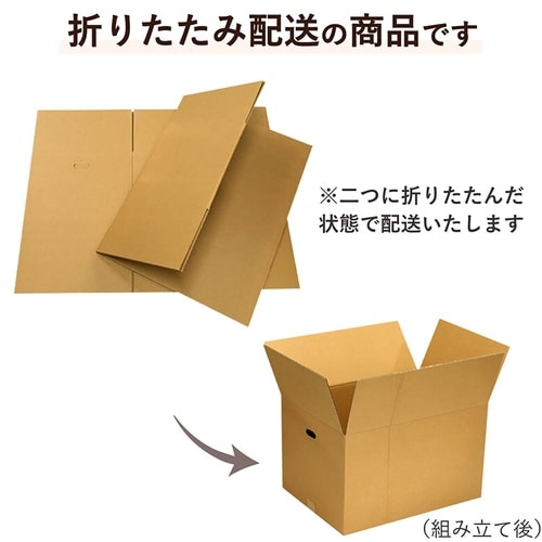 140サイズダンボール手穴5枚入 53×38×33