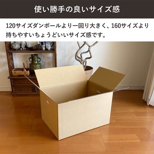 140サイズダンボール手穴10入 53×38×33