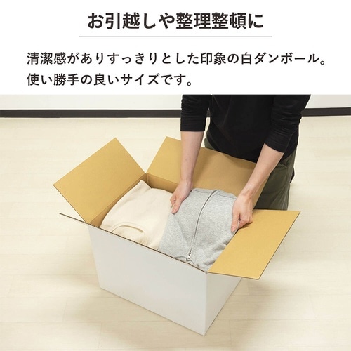 120サイズ白ダンボール 5枚セット