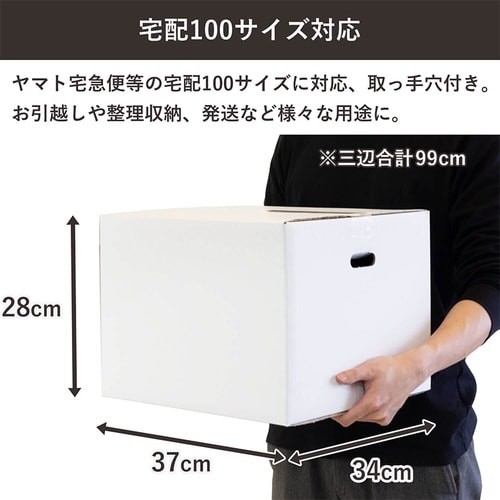 100サイズ白ダンボール 手穴 10枚