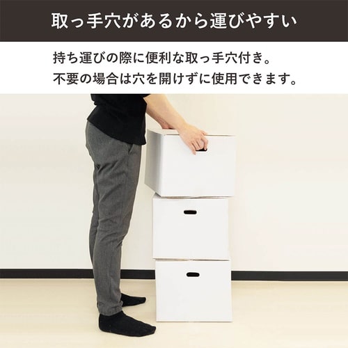 100サイズ白ダンボール 手穴 10枚