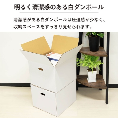 100サイズ白ダンボール 手穴 10枚