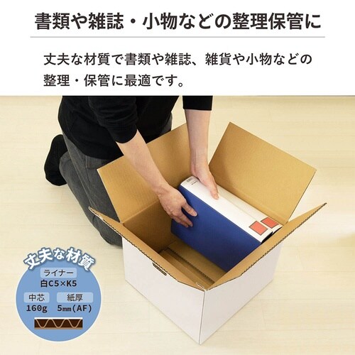 100サイズ白ダンボール 手穴 30枚