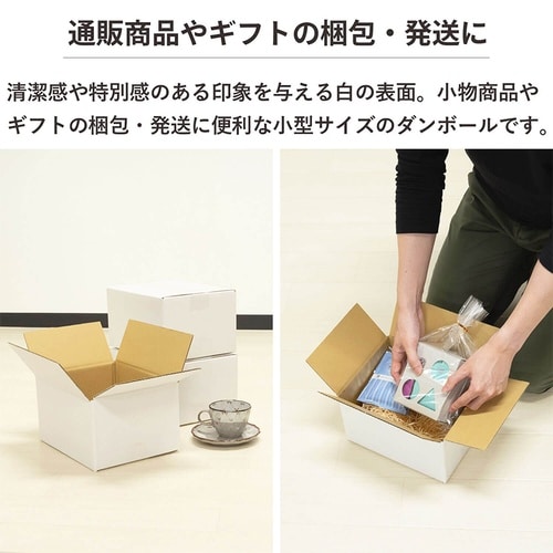 60サイズ白ダンボール 10枚セット