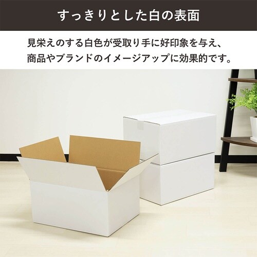 100サイズ白ダンボール 5枚セット