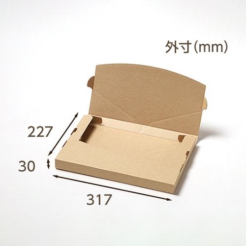 メール便ケース ジッパー付 A4 3cm対応