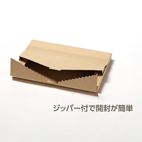 メール便ケース ジッパー付 A4 3cm対応