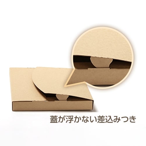 メール便ケース ジッパー付 A4 3cm対応