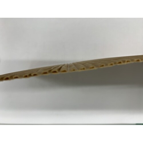 巻ダンボール クラフト/クラフト 1000×50m