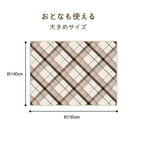 真空パック難燃備蓄用フリースおとな毛布(