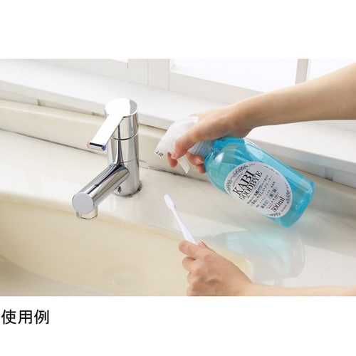 乳酸クリーナー カビグッバイ 500mL