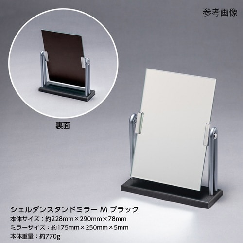 H−121 木製スタンドミラーDX