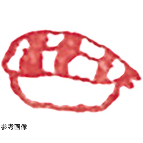 木柄スタンプ10 日本食 寿司 えび 7