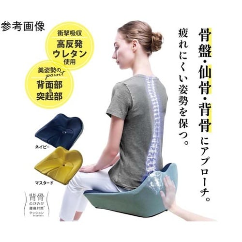 背骨のびのび腰痛対策クッションネイビー