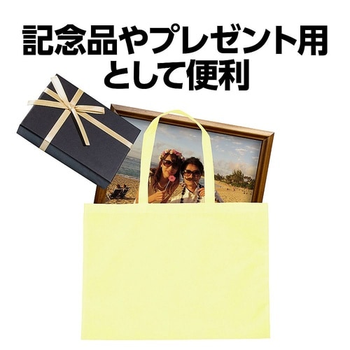 カラー不織布バッグ 薄黄 11424