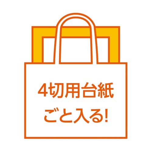 カラー不織布バッグ 黒 11431