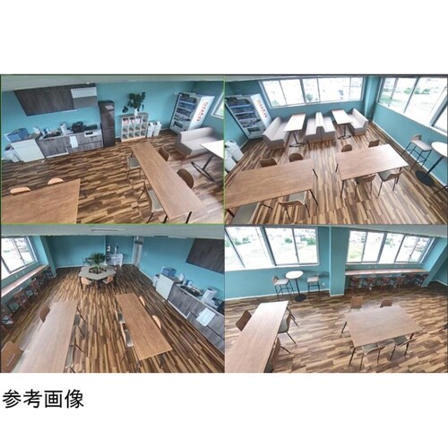 6メガピクセル防水フィッシュアイ型IPカ