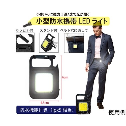 キーホルダー型 小型防水携帯LED CO