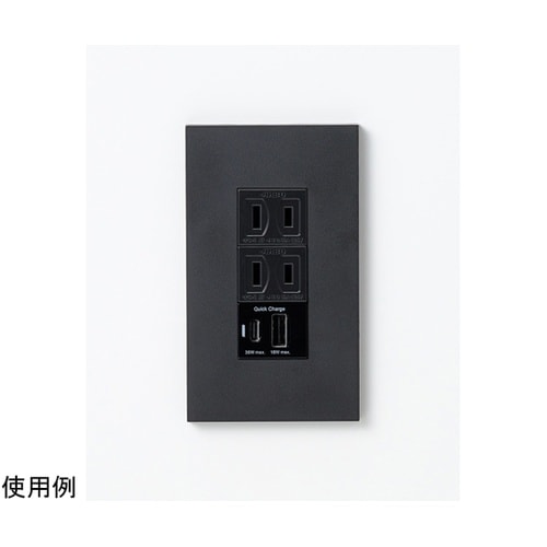 埋込USBコンセントPD36W ブラック