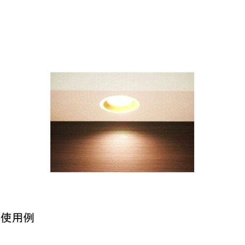 LEDダウンライト8W電球色100 DL