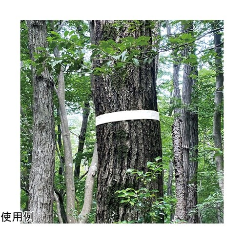 マーキングテープ ホワイト 30mm×5